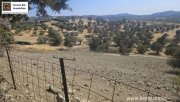 Sivas Kreta, Sivas Grundstück 3.400m² mit Baugenehmigung Grundstück kaufen